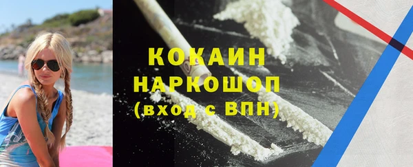 индика Михайловск
