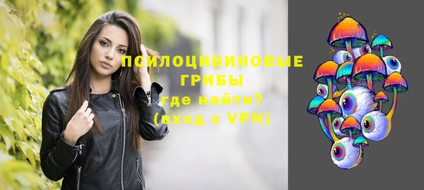 экстази Михайлов