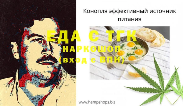 мет Алексин
