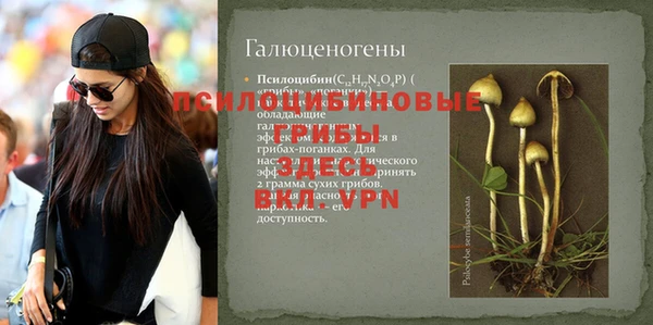 мет Алексин