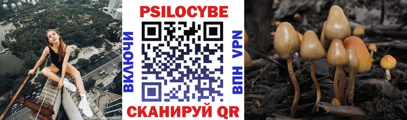 Псилоцибиновые грибы Magic Shrooms  Красноярск 